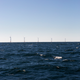 Looking back on America’s first offshore wind farm. Photo: Jesse Burke for Gizmodo